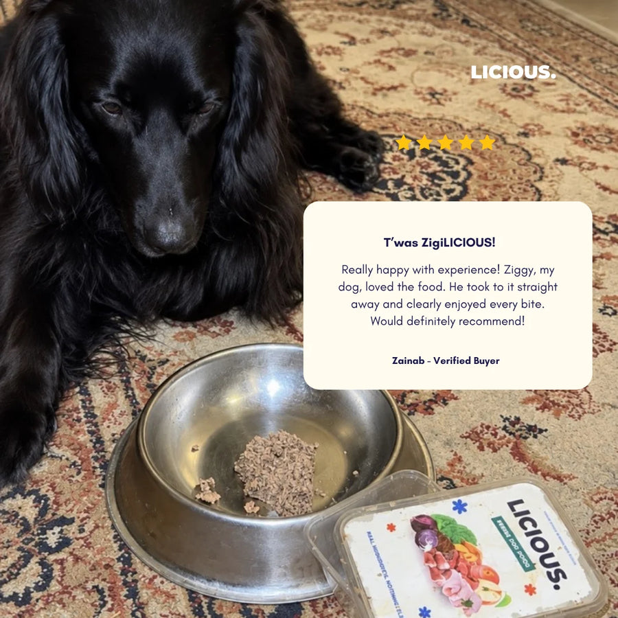 Fresh Dog Food