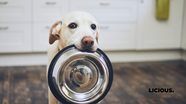 Why Your Dog Food's Price Per KG Doesn't Tell You Anything