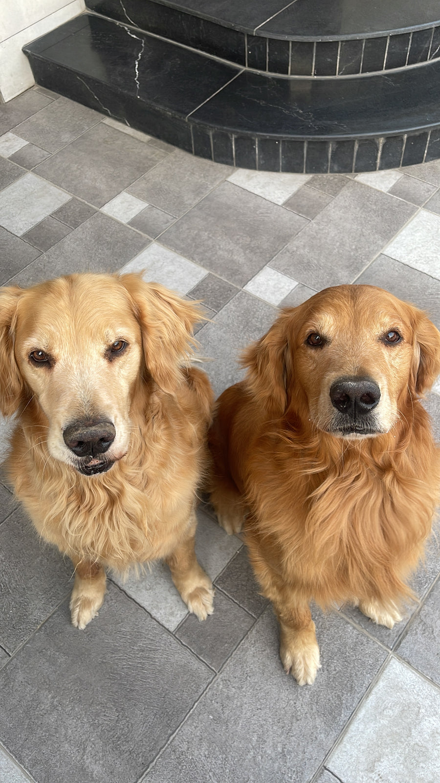 Champ and Nugget