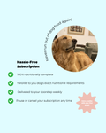 Fresh Dog Food (Lahore Pilot)