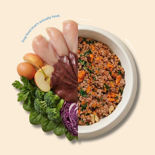 Fresh Dog Food