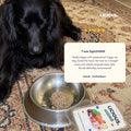 Fresh Dog Food